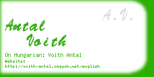 antal voith business card